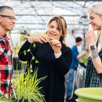 Horticulture